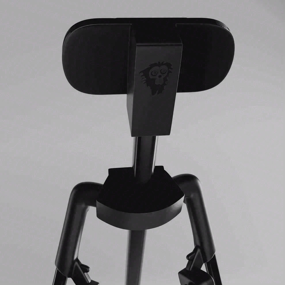 Cue Caddy Case Kick Stand