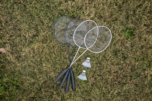 Triumph Advanced Volleyball and Badminton Combo Set 12