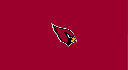 NFL Pool Table Felt 2