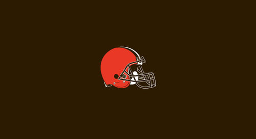 NFL Pool Table Felt 41