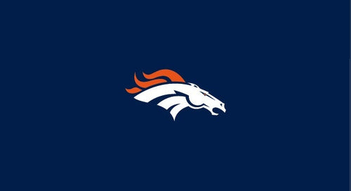 NFL Pool Table Felt 11
