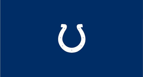 NFL Pool Table Felt 15