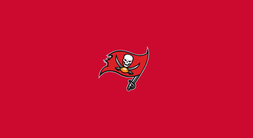 NFL Pool Table Felt 31
