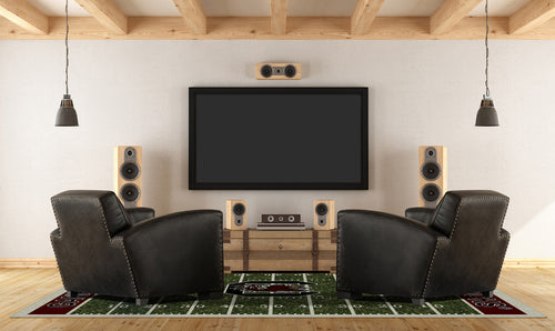 University of South Carolina Rug Home Field 2