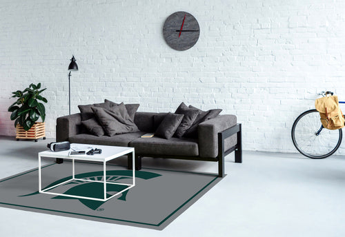 Michigan State University Rug Team Spirit 4