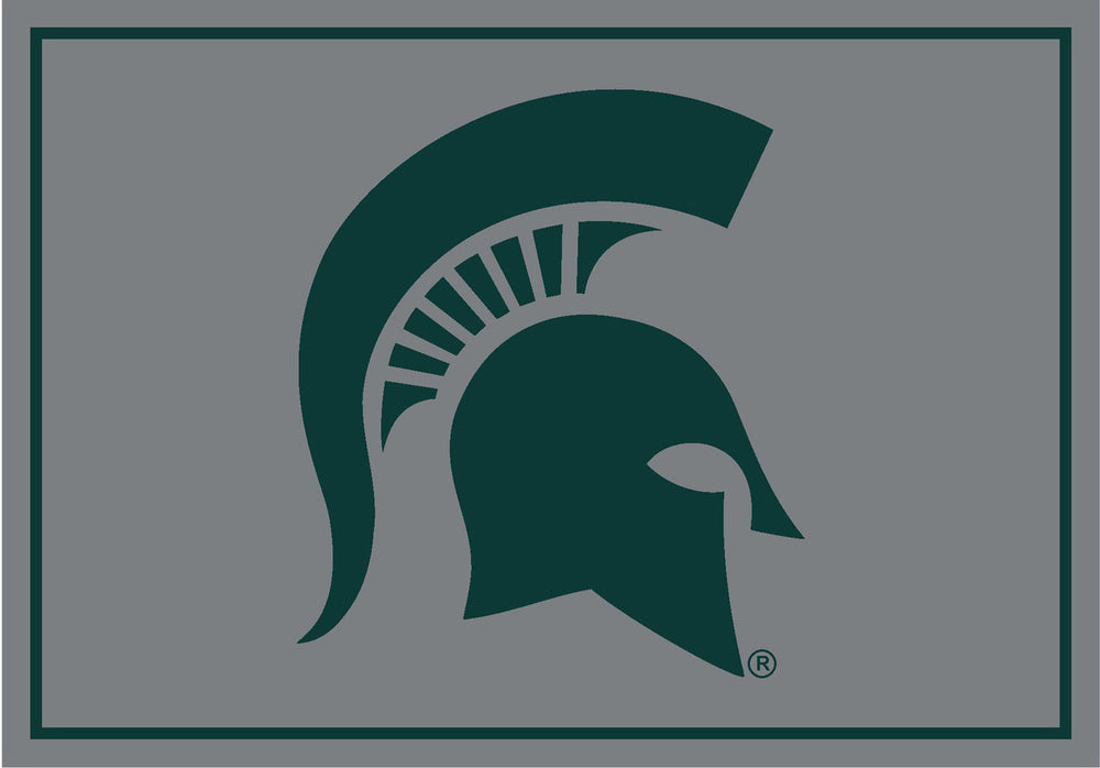 Michigan State University Rug Team Spirit