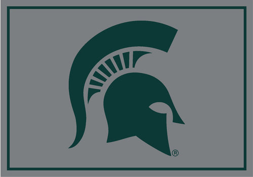 Michigan State University Rug Team Spirit 1
