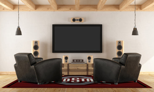 Ohio State University Rug Team Spirit 2