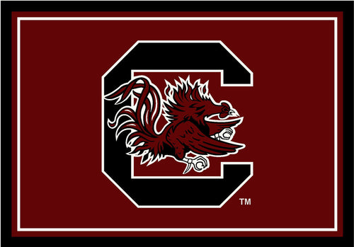University of South Carolina Rug Team Spirit 1