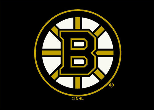Boston Bruins Rug Team Spirit 1
