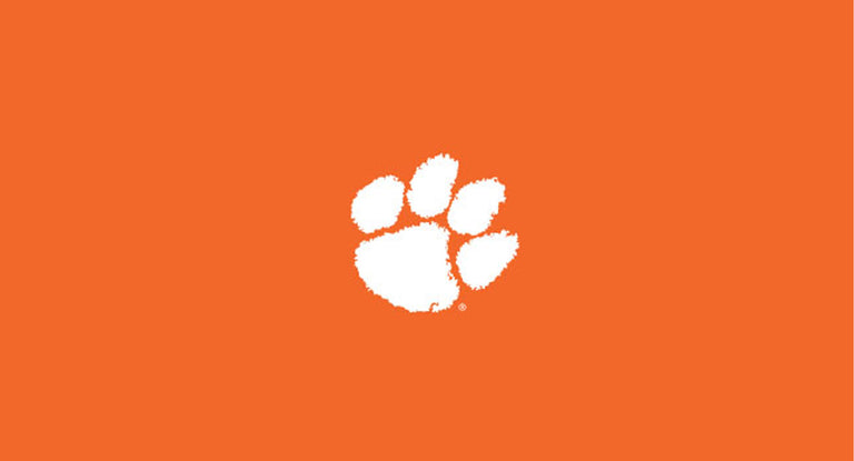 Clemson University Pool Table Felt