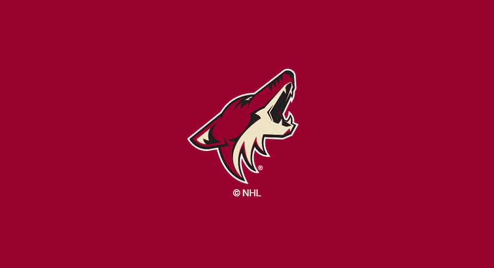 Arizona Coyotes Pool Table Felt
