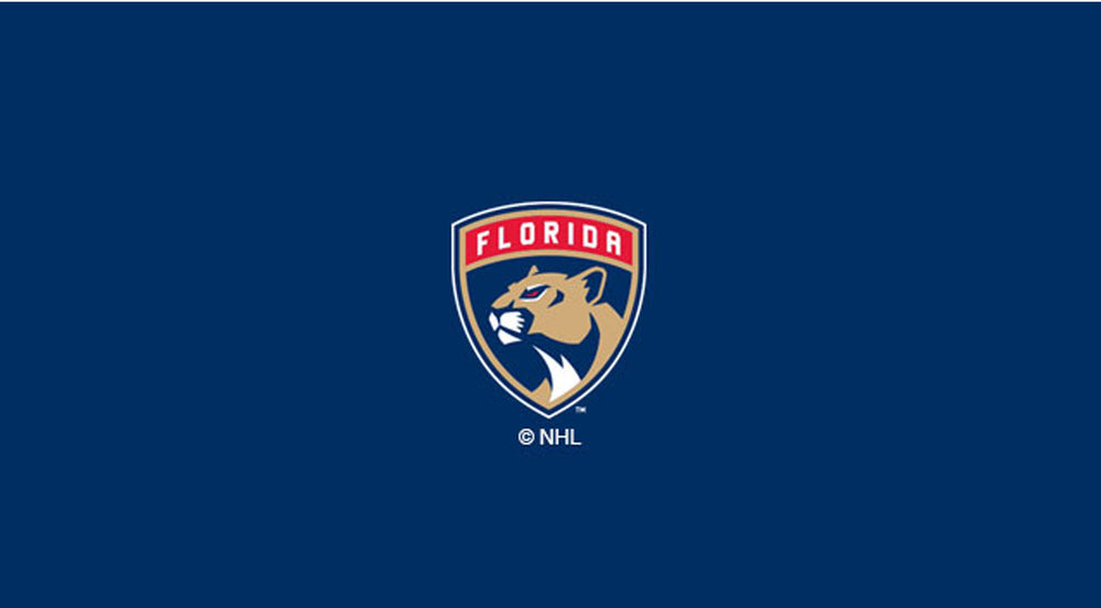 Florida Panthers Pool Table Felt