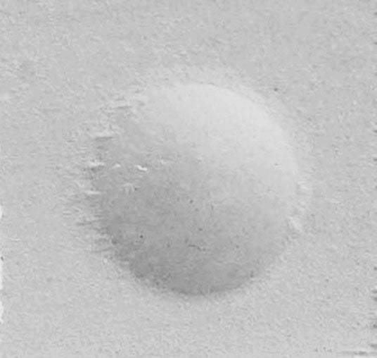 Silver Cup Chalk White - Dozen