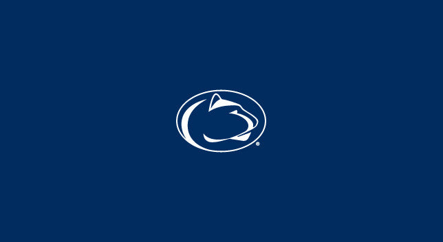 Penn State Pool Table Felt