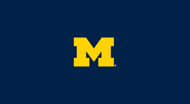 University of Michigan Pool Table Felt