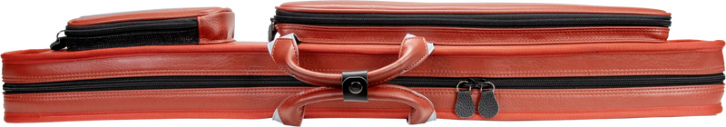Molinari Classic Butterfly 2x4 Soft Cue Case - Brown / Light Blue