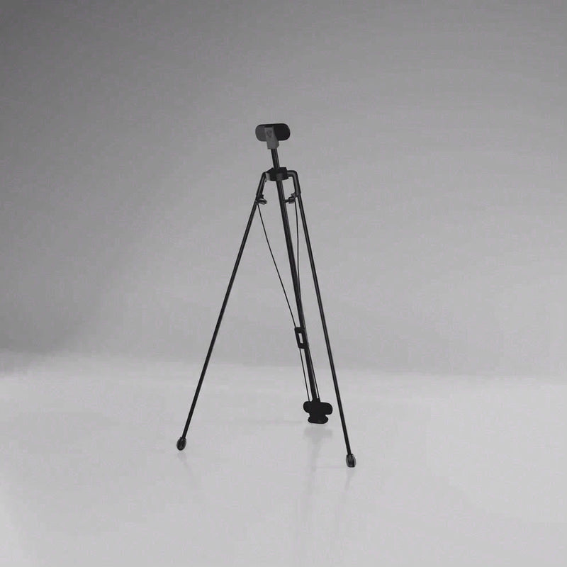 Cue Caddy Case Kick Stand