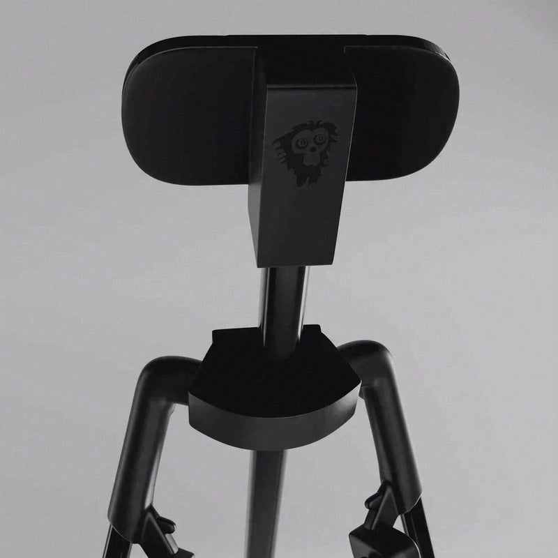 Cue Caddy Case Kick Stand