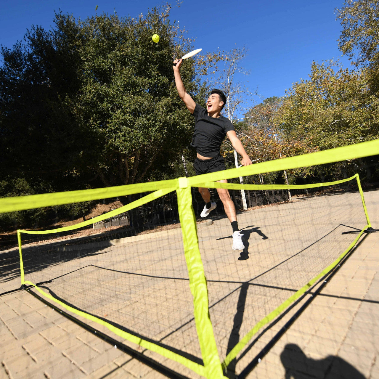 Triumph 4 Square Pickleball Set