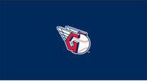 MLB Pool Table Felt