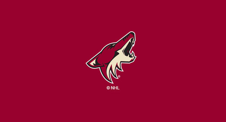 Arizona Coyotes Pool Table Felt 8 Foot