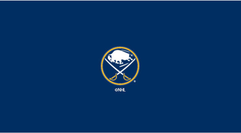 Buffalo Sabres Pool Table Felt