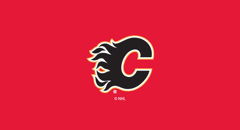 Calgary Flames Pool Table Felt