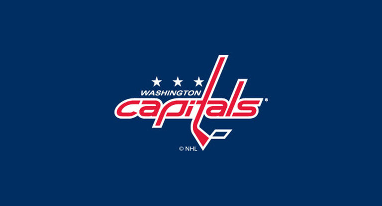 Washington Capitals Pool Table Felt