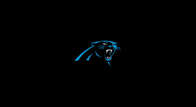 Carolina Panthers Pool Table Felt