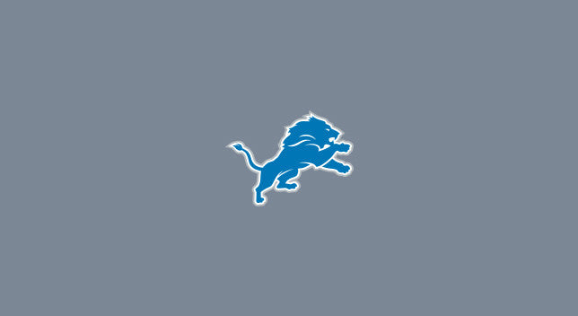 Detroit Lions Pool Table Felt