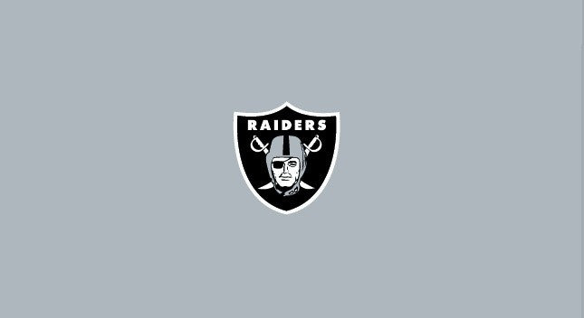 Las Vegas Raiders Pool Table Felt