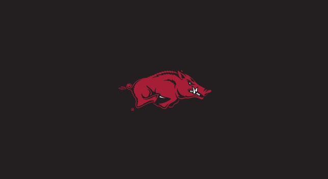 University of Arkansas Pool Table Felt