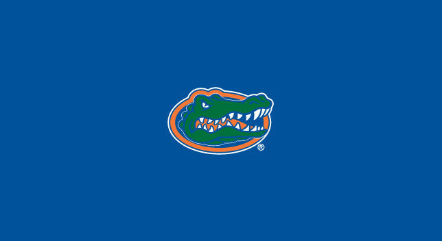 University of Florida Pool Table Felt