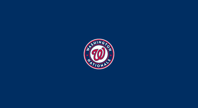 Washington Nationals Pool Table Felt